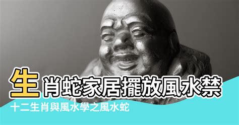 蛇穴風水|【蛇穴風水】風水學大解密！蛇穴秘境揭開財富之門